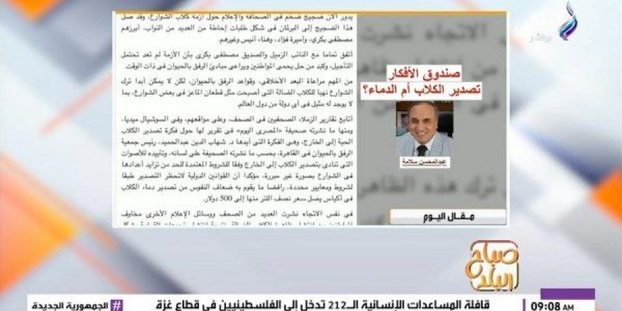 صباح البلد يستعرض مقال عبد المحسن سلامة «صندوق الأفكار..تصدير الكلاب أم الدماء»