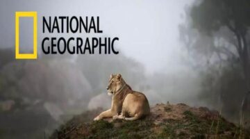 تردد قناة ناشيونال جيوغرافيك 2026 1